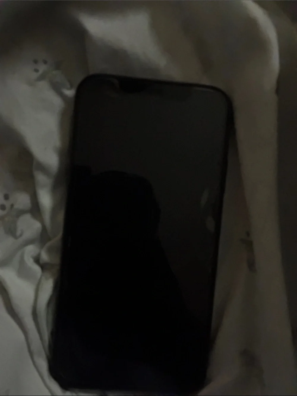 Apple iPhone - Black - Dual Rear Cameras